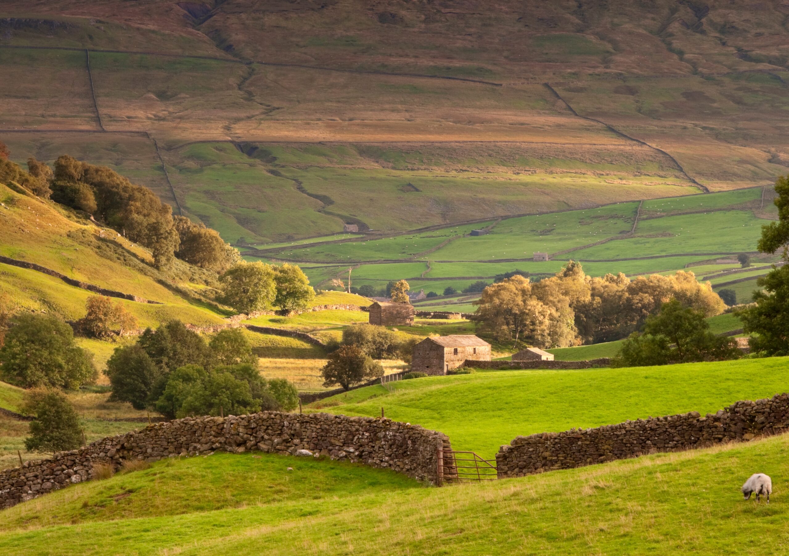 Yorkshire Dales