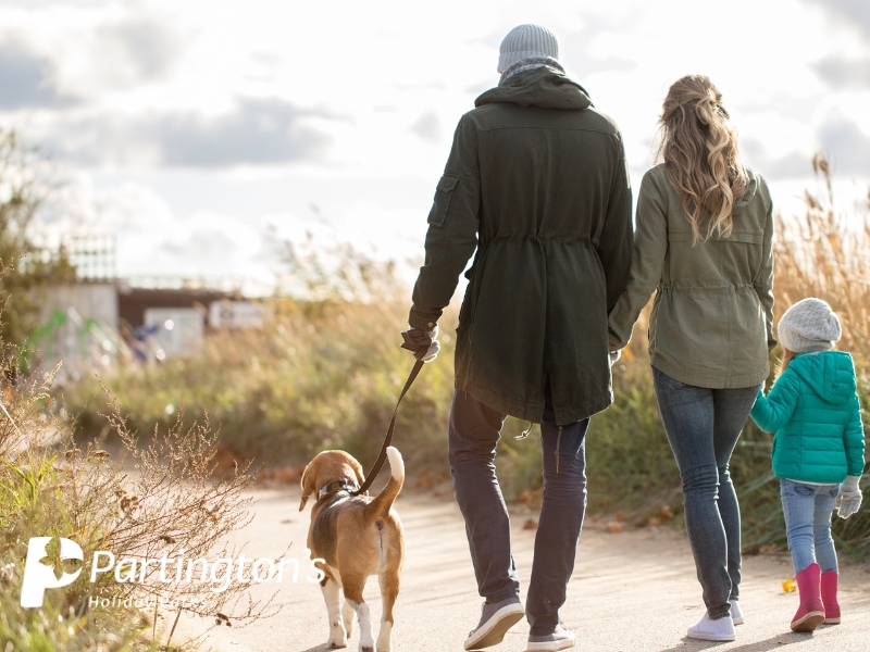 Best family walks in North Yorkshire