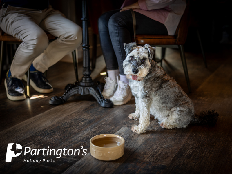 Best dog-friendly bars and restaurants in North Yorkshire