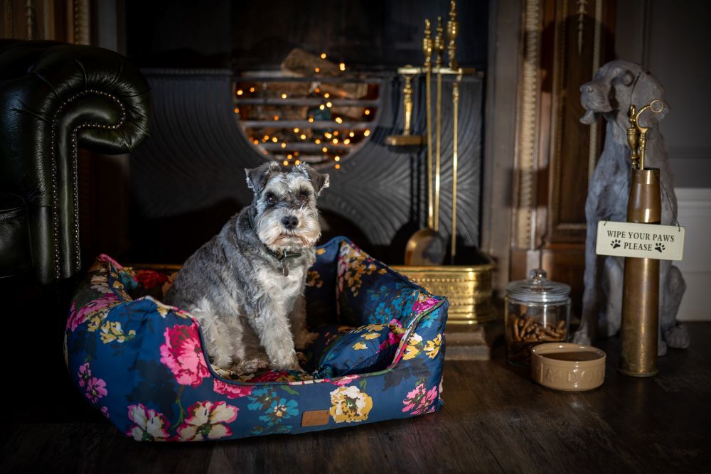 Dog friendly pubs North Yorkshire